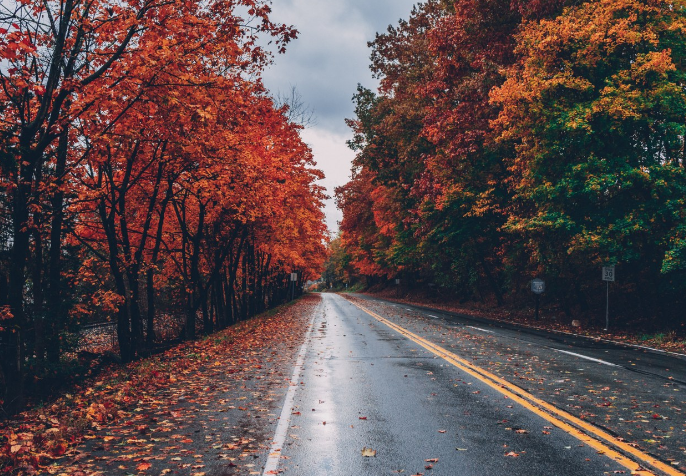 Jak jeździć bezpiecznie jesienią?
